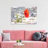Roter Mohn in der Leinwand des Bürgersteigs (Insitu (Wohnzimmer))