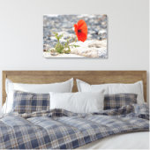 Roter Mohn in der Leinwand des Bürgersteigs (Insitu (Schlafzimmer))