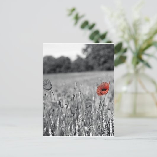 Roter Mohn in schwarz-weißem Feld Postkarte (Stehend Vorderseite)