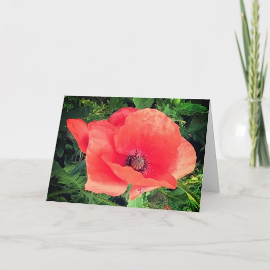 Roter Mohn Karte (Vorderseite)