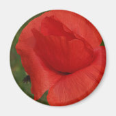 Roter Mohn Magnet (Vorne)