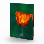 Roter Mohn Makrofotografie Poster Fotoblock (Rechts)