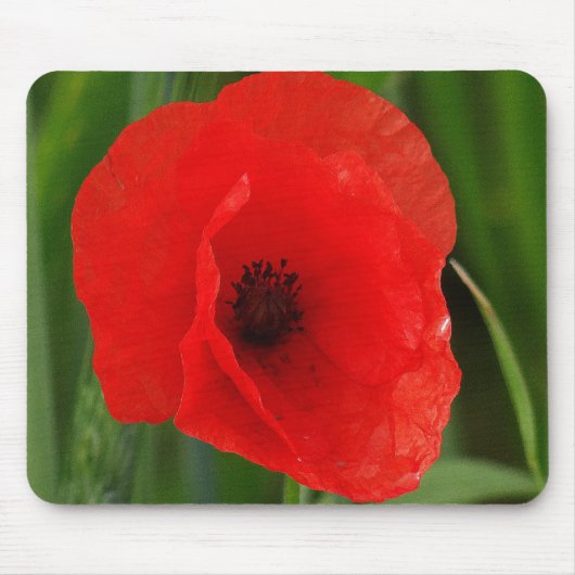 Roter Mohn Mousepad (Vorne)