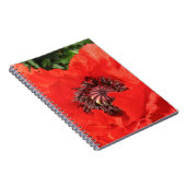 Roter Mohn Notizblock (Rechte Seite)