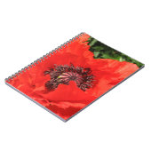 Roter Mohn Notizblock (Linke Seite)
