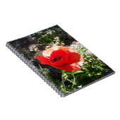 Roter Mohn Notizblock (Rechte Seite)
