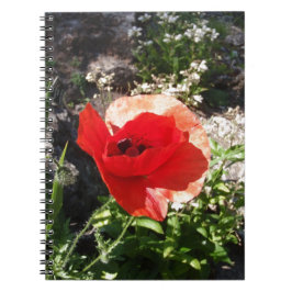 Roter Mohn Notizblock