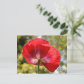 Roter Mohn Postkarte (Stehend Vorderseite)