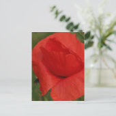 Roter Mohn Postkarte (Stehend Vorderseite)