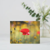 Roter Mohn Postkarte (Stehend Vorderseite)