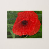 Roter Mohn Puzzle (Horizontal)
