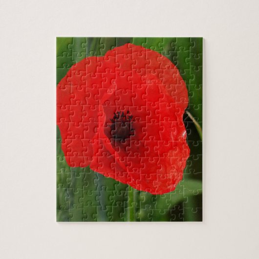 Roter Mohn Puzzle (Vertikal)