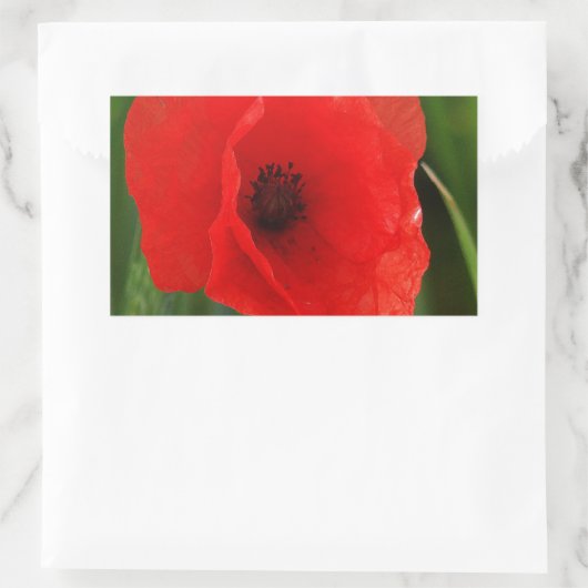 Roter Mohn Rechteckiger Aufkleber (Tasche)
