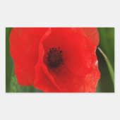 Roter Mohn Rechteckiger Aufkleber (Vorderseite)