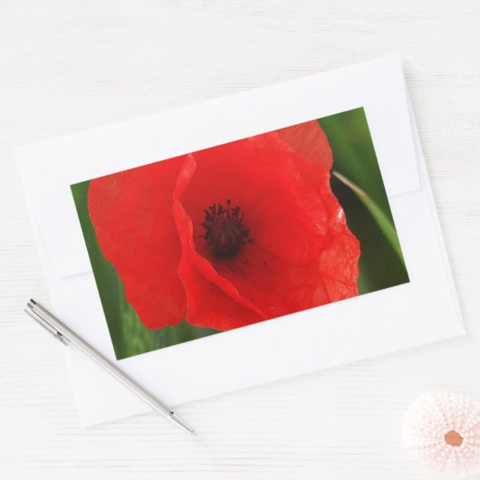 Roter Mohn Rechteckiger Aufkleber (Umschlag)