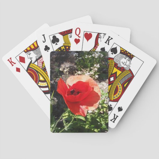 Roter Mohn Spielkarten (Rückseite)