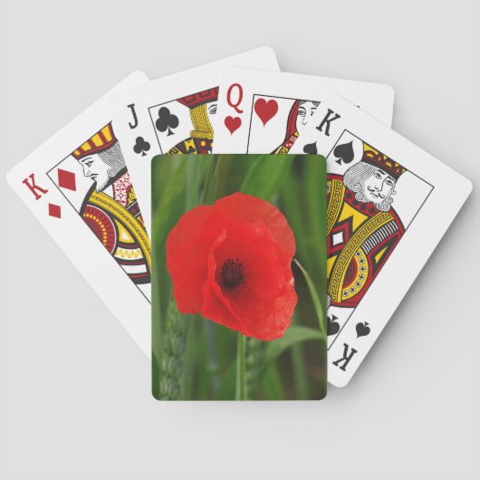 Roter Mohn Spielkarten (Rückseite)