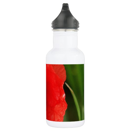 Roter Mohn Trinkflasche (Rechts)