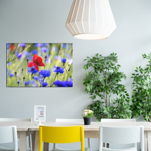 Roter Mohn Wildblumen Foto Leinwanddruck