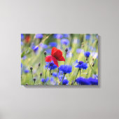 Roter Mohn Wildblumen Foto Leinwanddruck (Vorderseite)