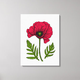 Roter Mohn zeichnend 3 Leinwanddruck