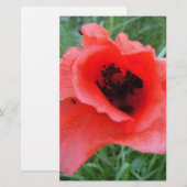 Roter Mohnblumenkelch Briefpapier (Vorne/Hinten)