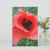 Roter Mohnblumenkelch Briefpapier (Stehend Vorderseite)