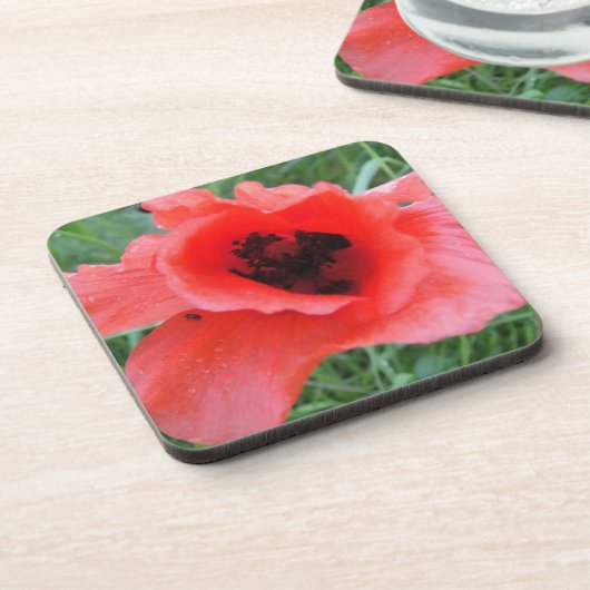 Roter Mohnblumenkelch Getränkeuntersetzer (Linke Seite)