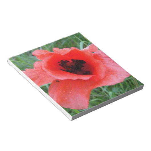 Roter Mohnblumenkelch Notizblock (angewinkelt)