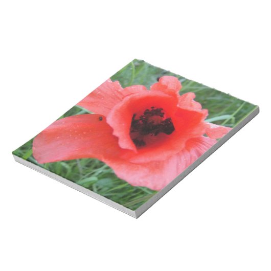Roter Mohnblumenkelch Notizblock (Rotiert)