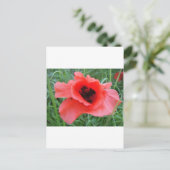Roter Mohnblumenkelch Postkarte (Stehend Vorderseite)