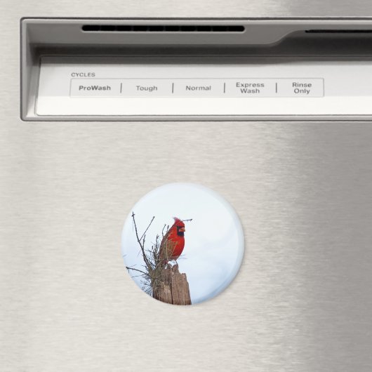 Roter Nördlicher Kardinal auf einem Holzpfosten Magnet (In Situ (Geschirrspüler))