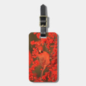 Roter Nördlicher Kardinal männlich, IL Gepäckanhänger (Vorderseite vertikal)