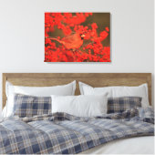Roter Nördlicher Kardinal männlich, IL Leinwanddruck (Insitu (Schlafzimmer))