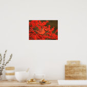 Roter Nördlicher Kardinal männlich, IL Poster (Küche)