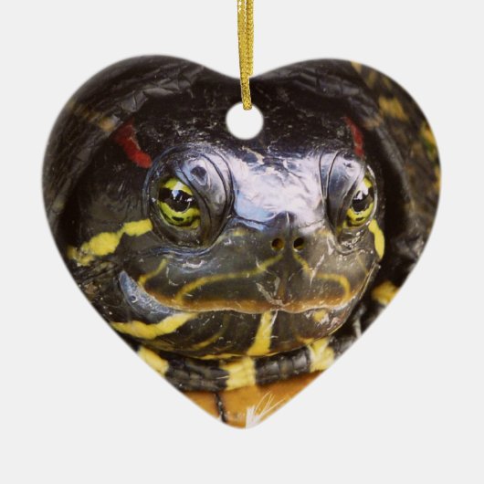Roter ohriger Schieber-Schildkröte-Kopf Keramik Ornament (Vorne)