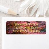 Roter Orange Fall Blätter Herbst Blätter Blätter N (Insitu)