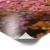 Roter Orange Fall Blätter Herbst Blätter Blätter N Fotodruck (Ecke)