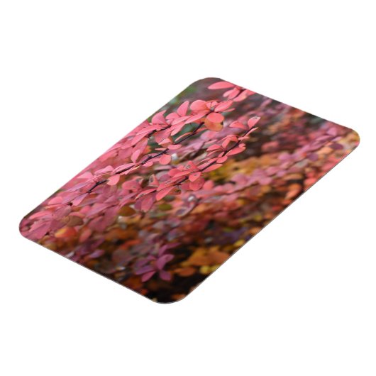 Roter Orange Fall Blätter Herbst Blätter Blätter N Magnet (Linke Seite)