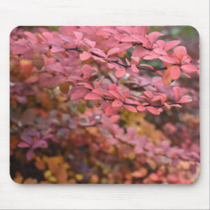 Roter Orange Fall Blätter Herbst Blätter Blätter N Mousepad