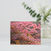 Roter Orange Fall Blätter Herbst Blätter Blätter N Postkarte (Stehend Vorderseite)