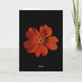 Roter Orange Floral Hummingbird Son 10 Jahre Karte (Rückseite)