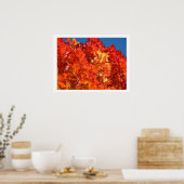 Roter Orange Gelber Herbst Blätter Kunstdrucke Bäu Poster (Küche)