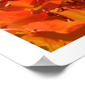 Roter Orange Gelber Herbst Blätter Kunstdrucke Bäu Poster (Ecke)