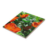 Roter Orangenmohn-Blume Fliese (Seite)