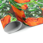 Roter Orangenmohn-Blume Geschenkpapier (Rolleneckpunkt)