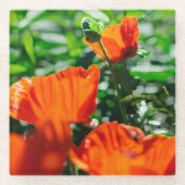 Roter Orangenmohn-Blume Glasuntersetzer (Vorderseite)