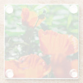 Roter Orangenmohn-Blume Glasuntersetzer (Rückseite)