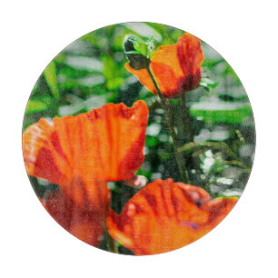 Roter Orangenmohn-Blume Schneidebrett