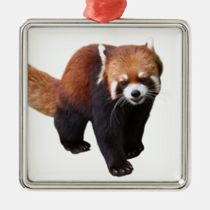 "Roter Pandaの 優 良 品 Silbernes Ornament